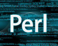 Perlの仕事内容とは？できることや求人案件の特徴、将来性