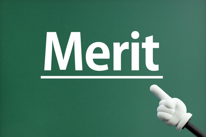 Meritという文字の写真