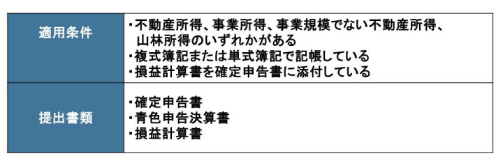 10万円控除の適用条件と提出書類